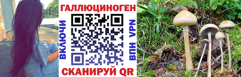 Псилоцибиновые грибы мухоморы  купить  цена  mega ССЫЛКА  Краснокаменск 